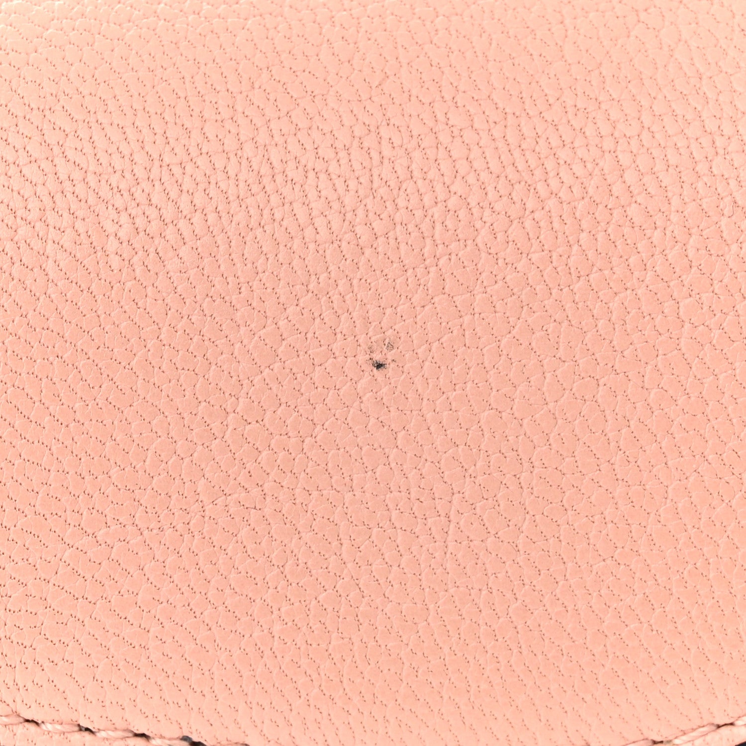Christian Dior Goatskin Mini Saddle Bag Rose Des Vent 11 of 12