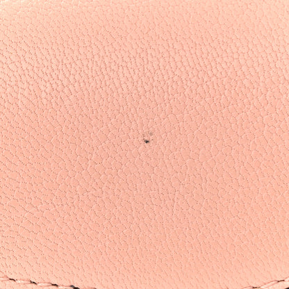 Christian Dior Goatskin Mini Saddle Bag Rose Des Vent 11 of 12