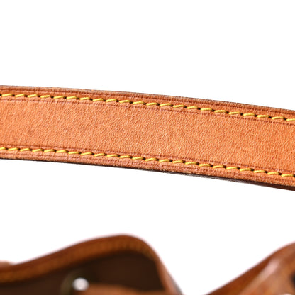 Louis Vuitton Monogram Petit Noe 18 of 20