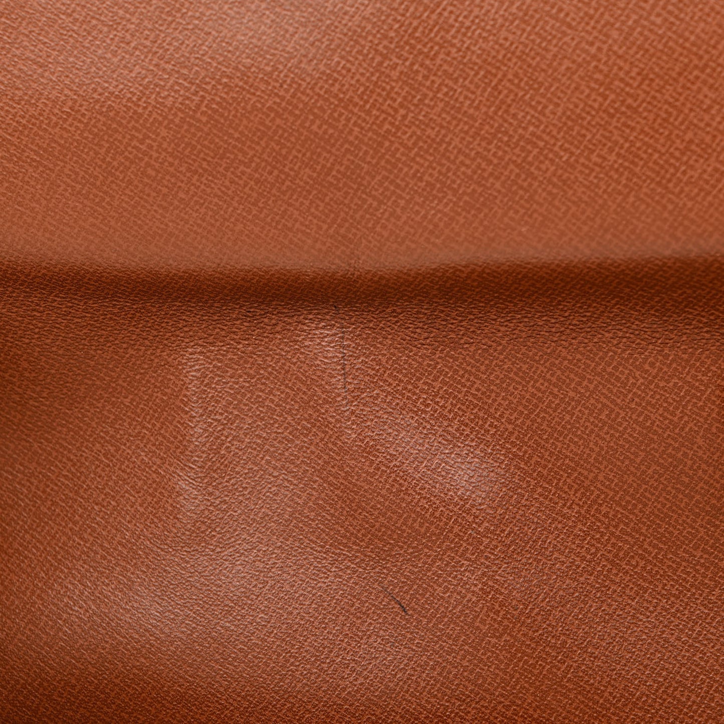 Monogram Cartouchiere 26