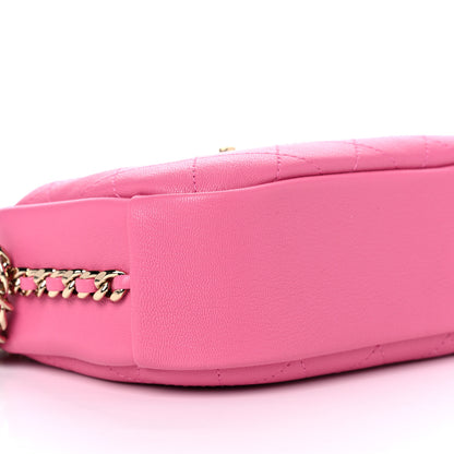 Chanel Goatskin Quilted Medium Casual Trip Camera Case Pink 7 of 9