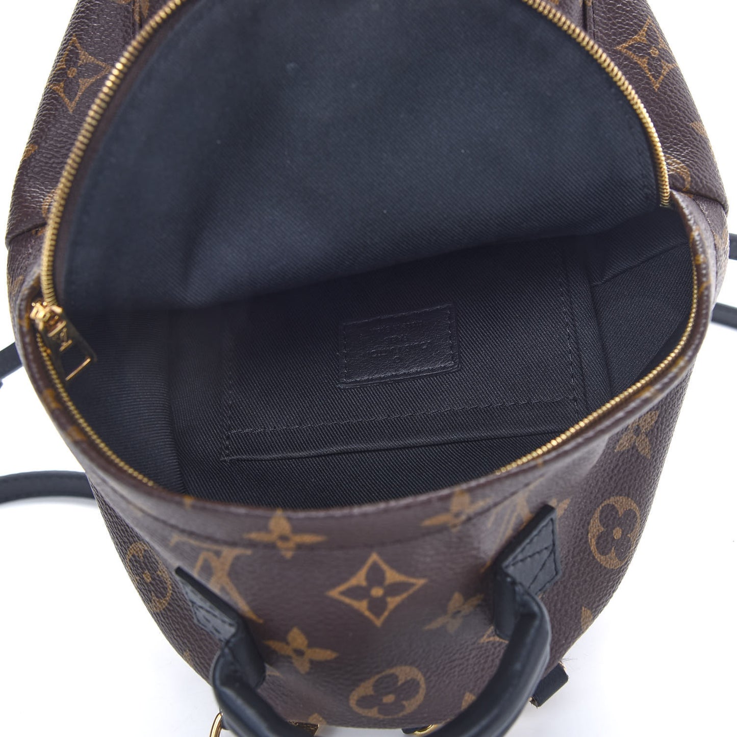 Monogram Palm Springs Backpack Mini