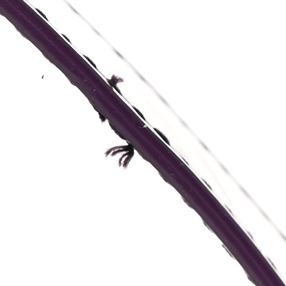 Bottega Veneta Glossy Nail Polish Nappa Maxi Intreccio Padded Cassette Crossbody Bag Holographic 11 of 11