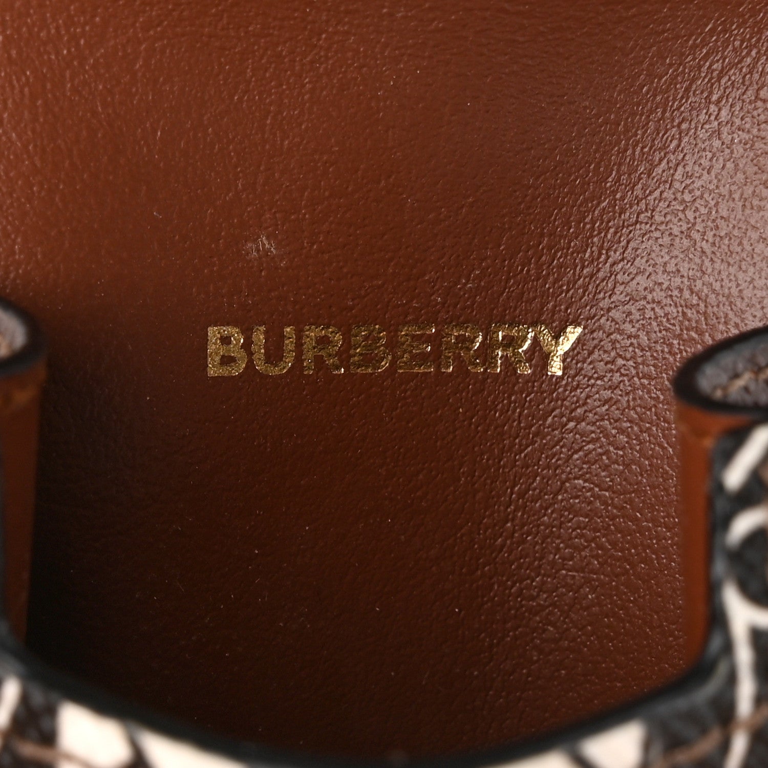 Burberry E-Canvas Calfskin Monogram Stripe TB AirPods Pro Case Brown 3 of 7