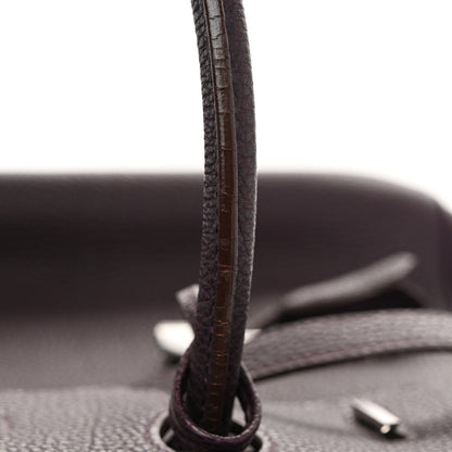 Hermes Togo Birkin 35 Raisin 16 of 21