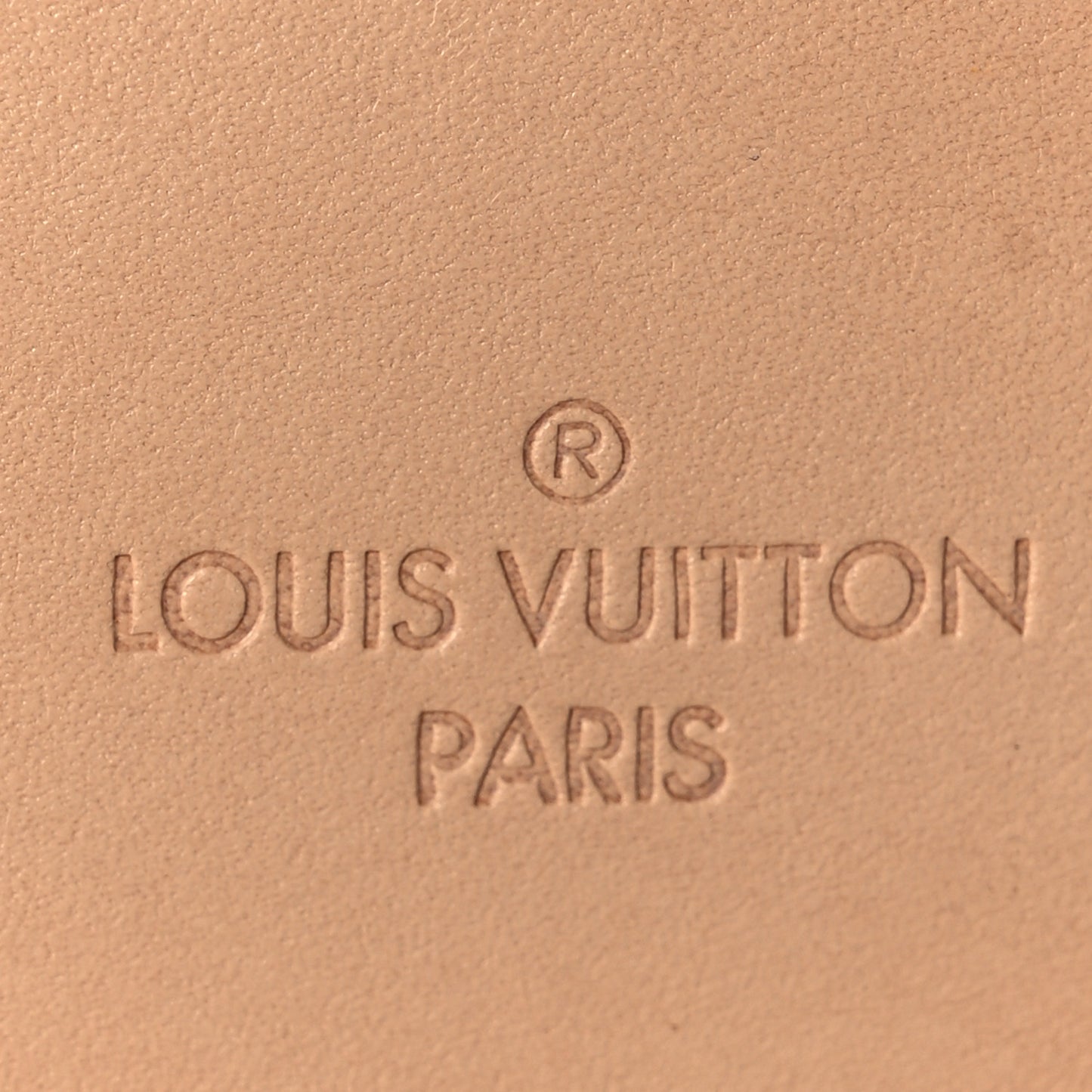 Monogram Pegase Legere Business 55