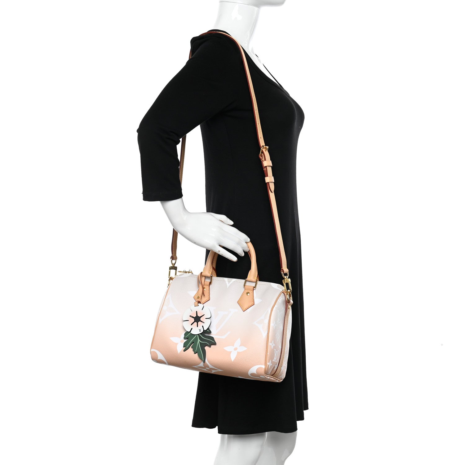 Louis Vuitton Monogram Giant By The Pool Speedy Bandouliere 25 Brume 2 of 10