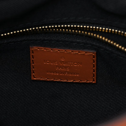 Louis Vuitton Reverse Monogram Dauphine Hobo PM 7 of 14