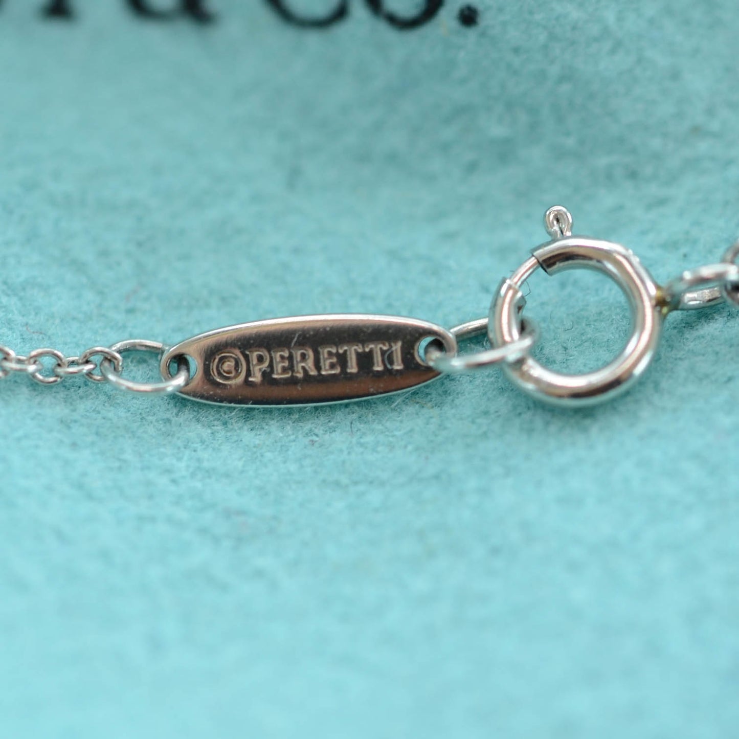 Platinum Diamond .20ct Elsa Peretti Diamonds by the Yard Lariat Necklace