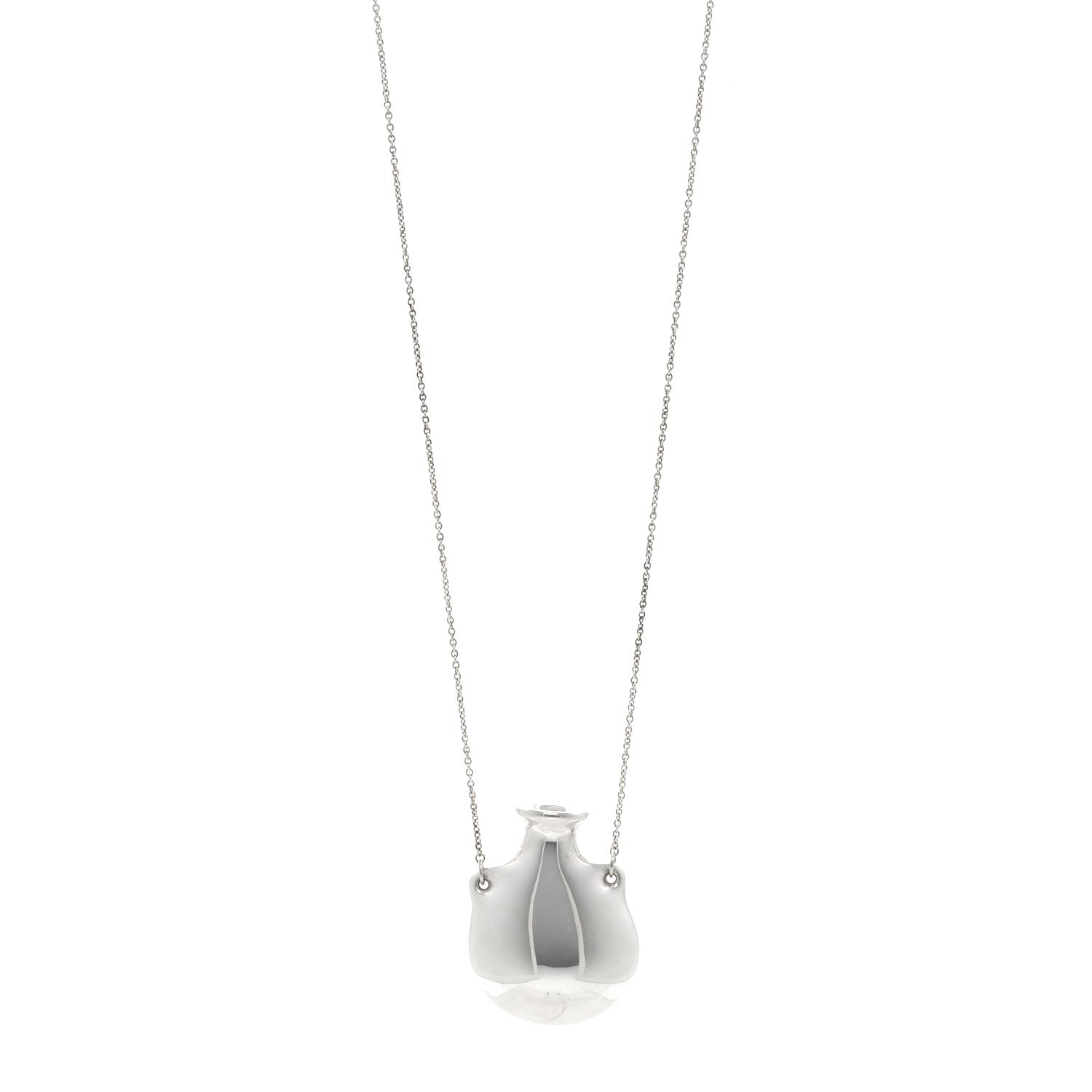 Tiffany Sterling Silver Medium Elsa Peretti Bottle Pendant Necklace 1 of 4