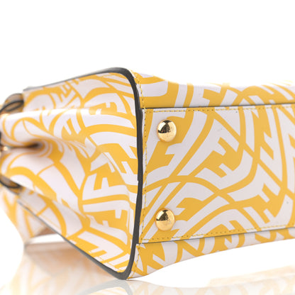 Fendi X SARAH COLEMAN Vitello Liberty Shiny Nappa Plexiglass FF Vertigo Mini Peekaboo Iconic Satchel Mimosa White 10 of 12