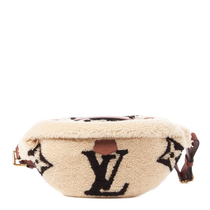 Louis Vuitton Monogram Teddy Bumbag 1 of 12