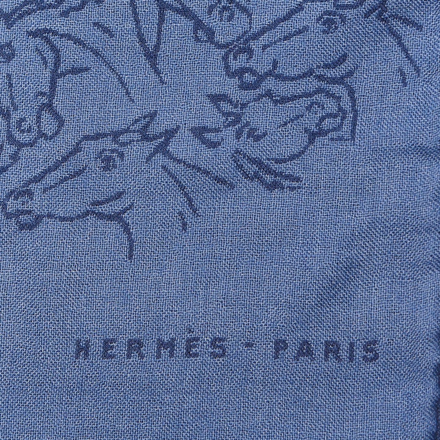 Cashmere Silk Whispering Horses Echarpe Muffler Mediterranee Indigo