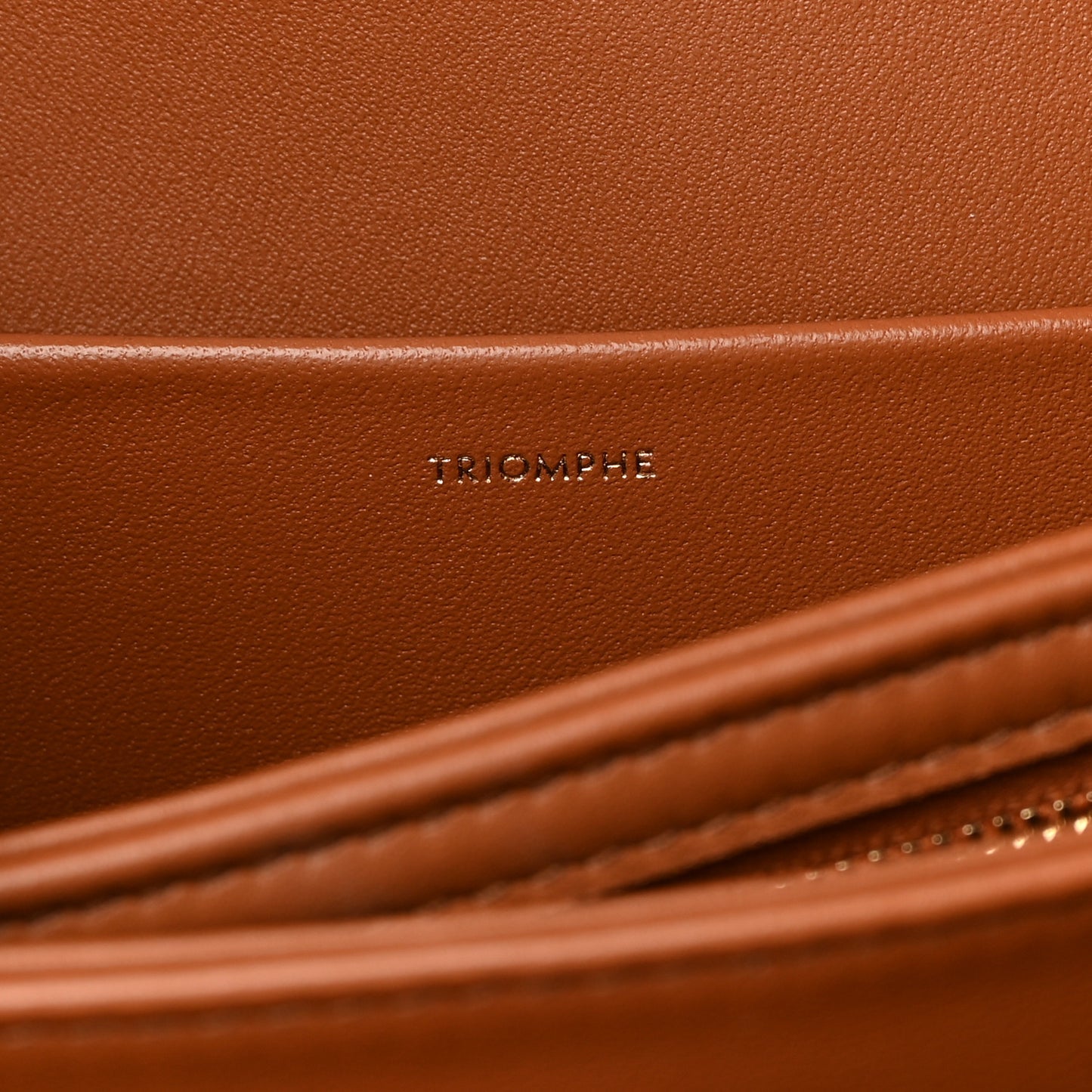 Canvas Calfskin Triomphe Embroidered Medium Triomphe Bag Tan