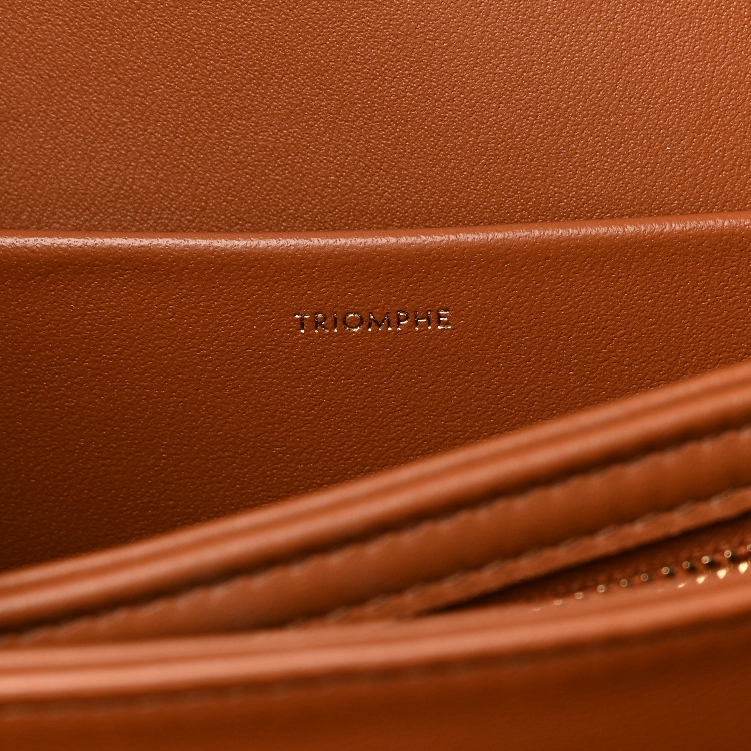 Celine Canvas Calfskin Triomphe Embroidered Medium Triomphe Bag Tan 7 of 13