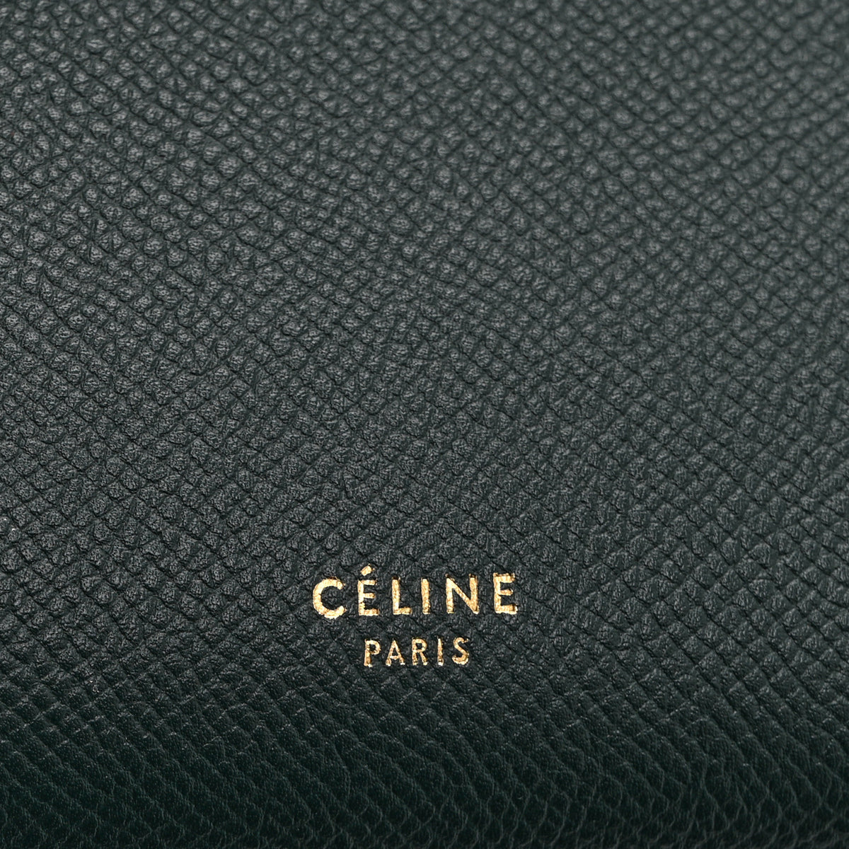 Grained Calfskin Micro Belt Bag Amazone