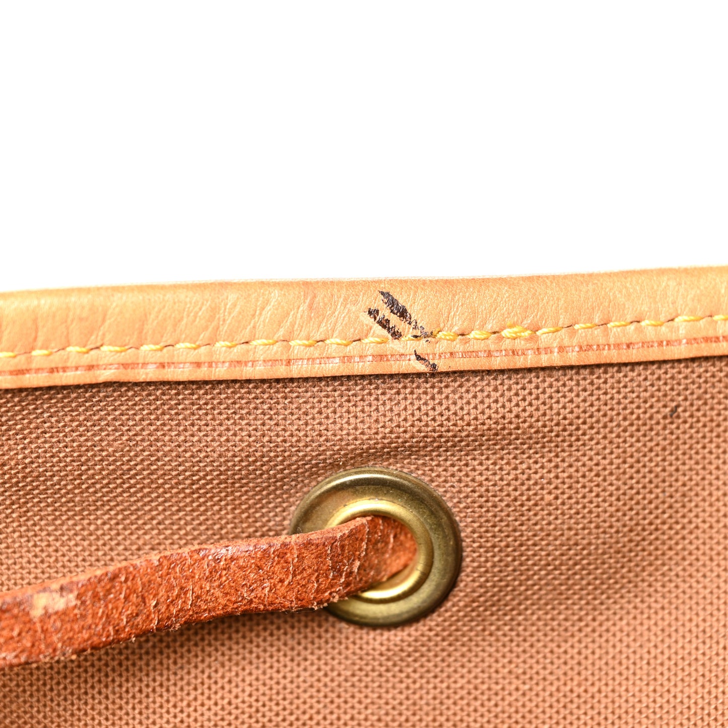 Monogram Montsouris GM Backpack