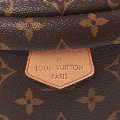 Louis Vuitton Monogram Bumbag 12 of 13