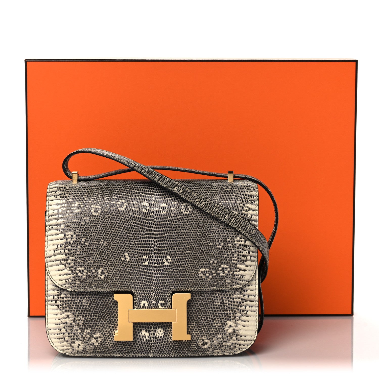 Hermes Lizard Constance 18 Ombre 11 of 11