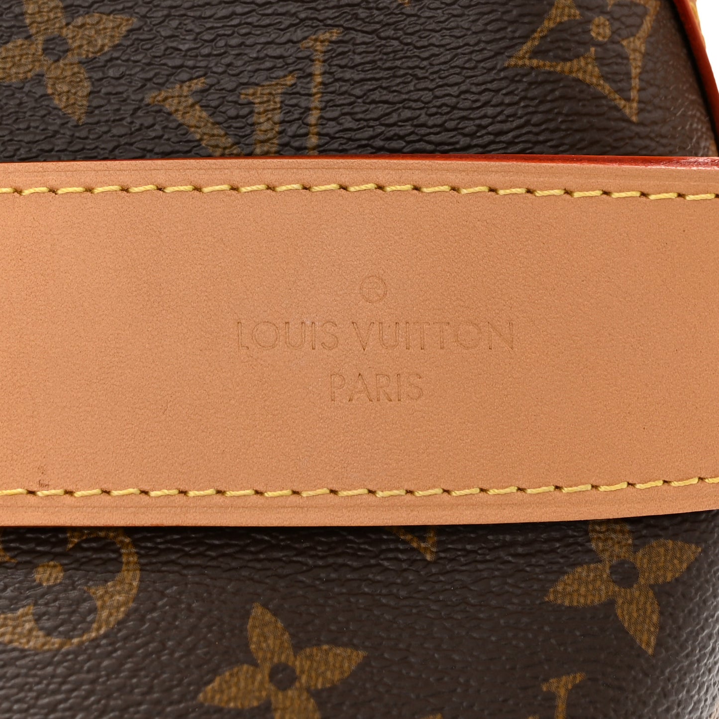 Monogram CarryAll MM