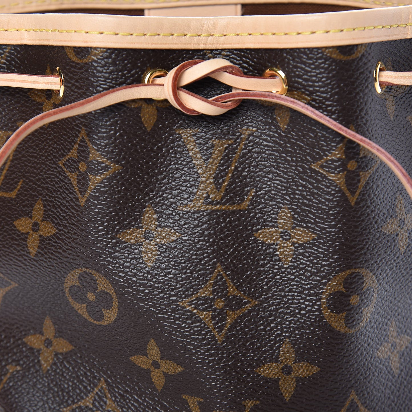 Monogram Nano Noe