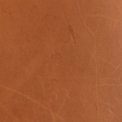 Celine Natural Calfskin Medium Phantom Luggage Tan 27 of 29
