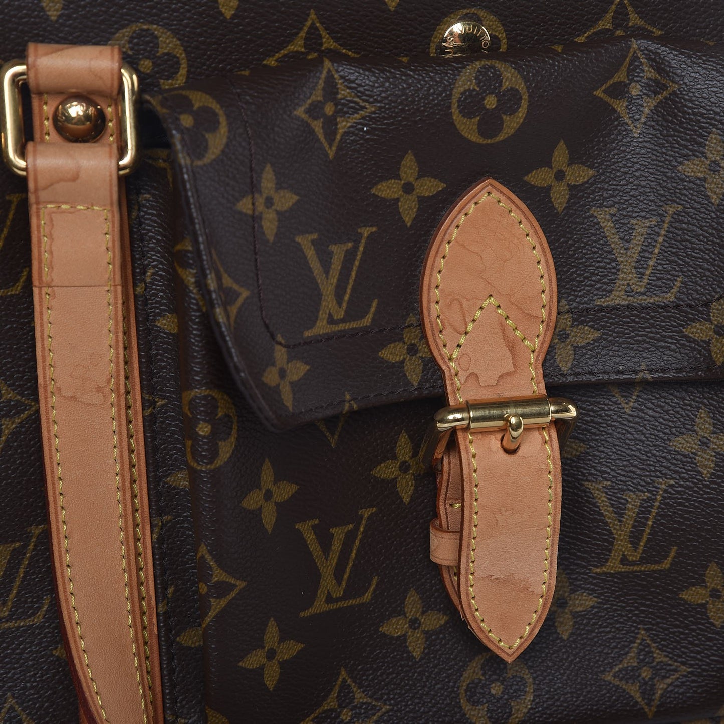 Monogram Baxter PM Dog Pet Carrier