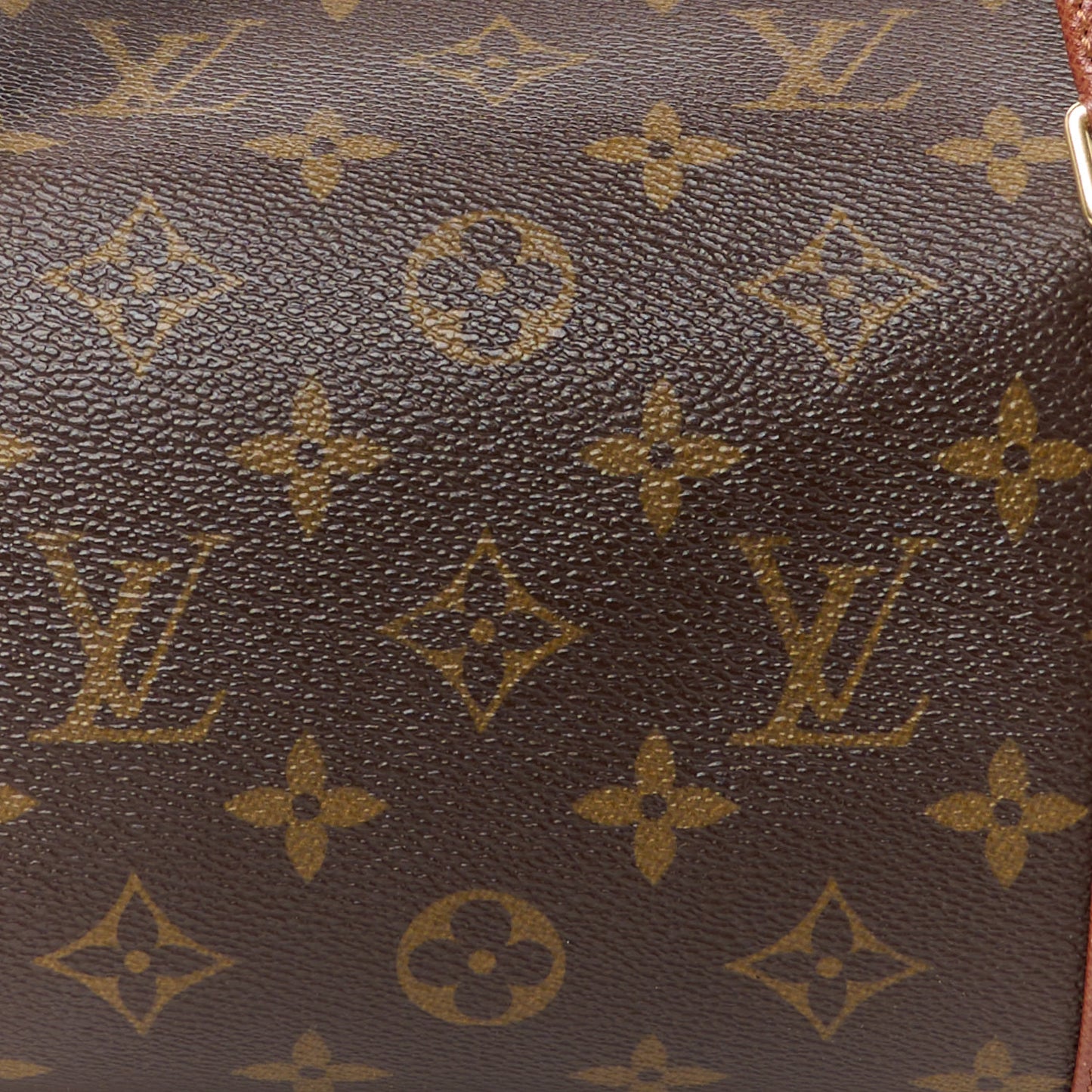 Monogram Papillon 30 with Companion