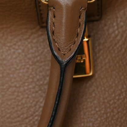Loewe Calfskin Amazona 36 Mink 11 of 11