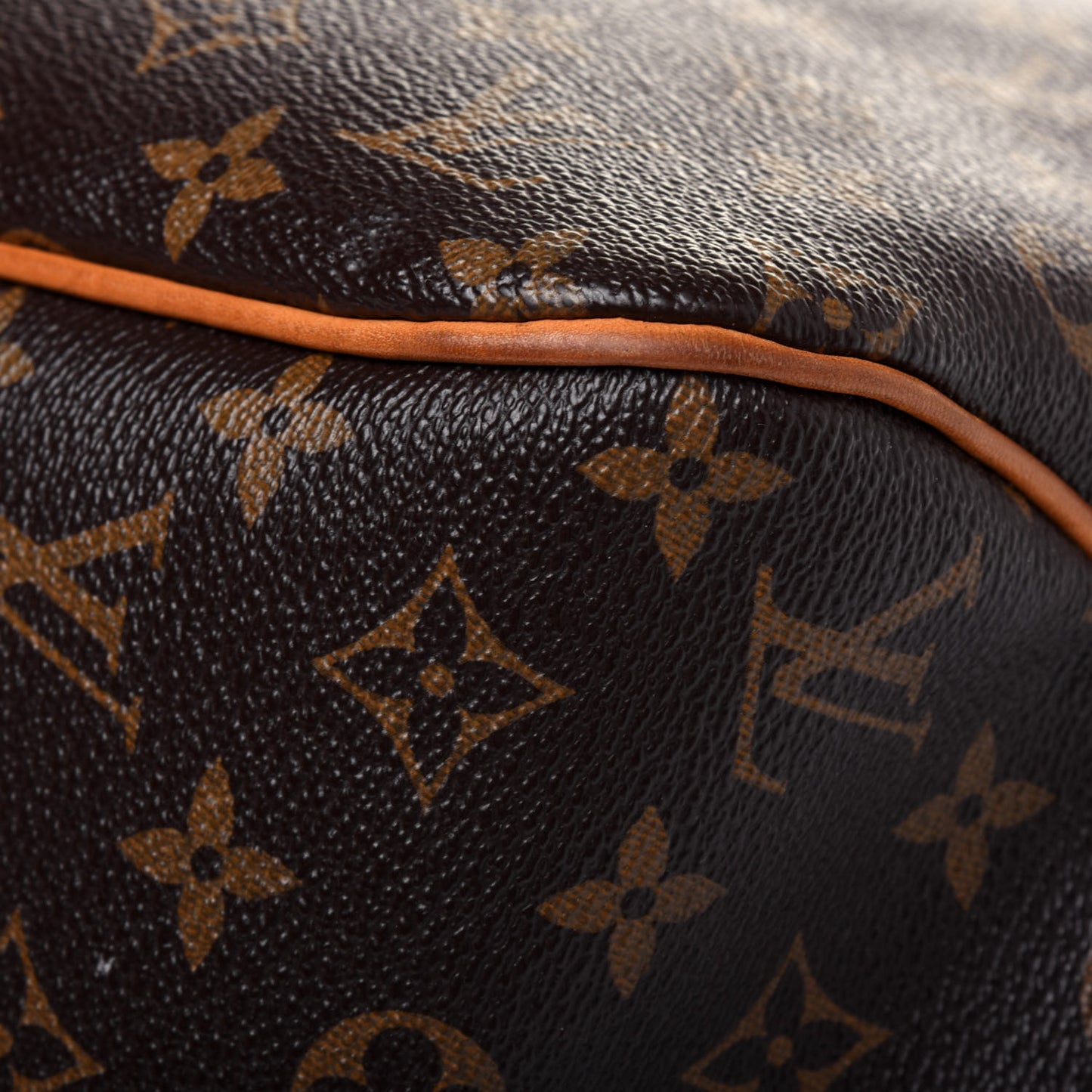 Monogram Delightful MM