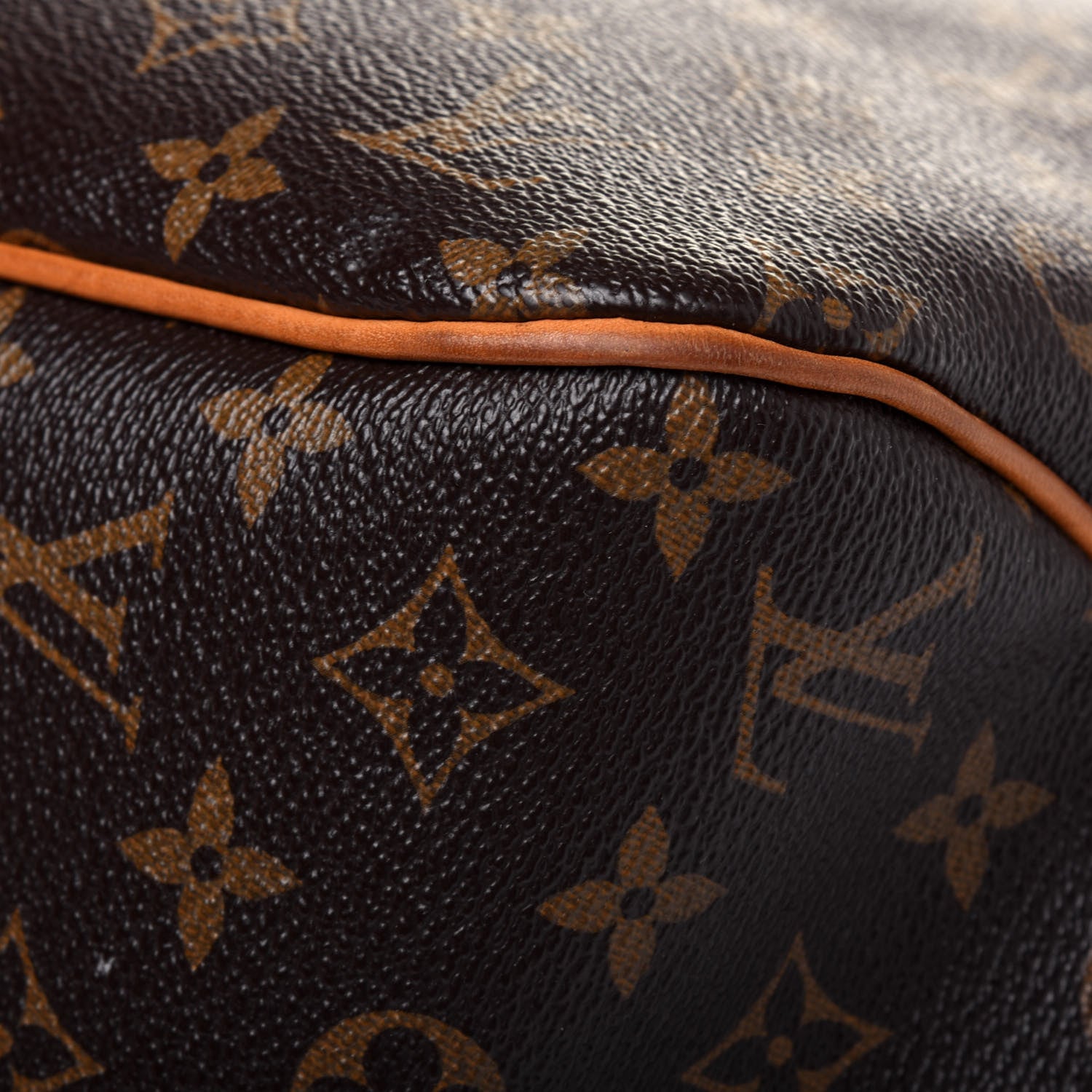 Louis Vuitton Monogram Delightful MM 12 of 24