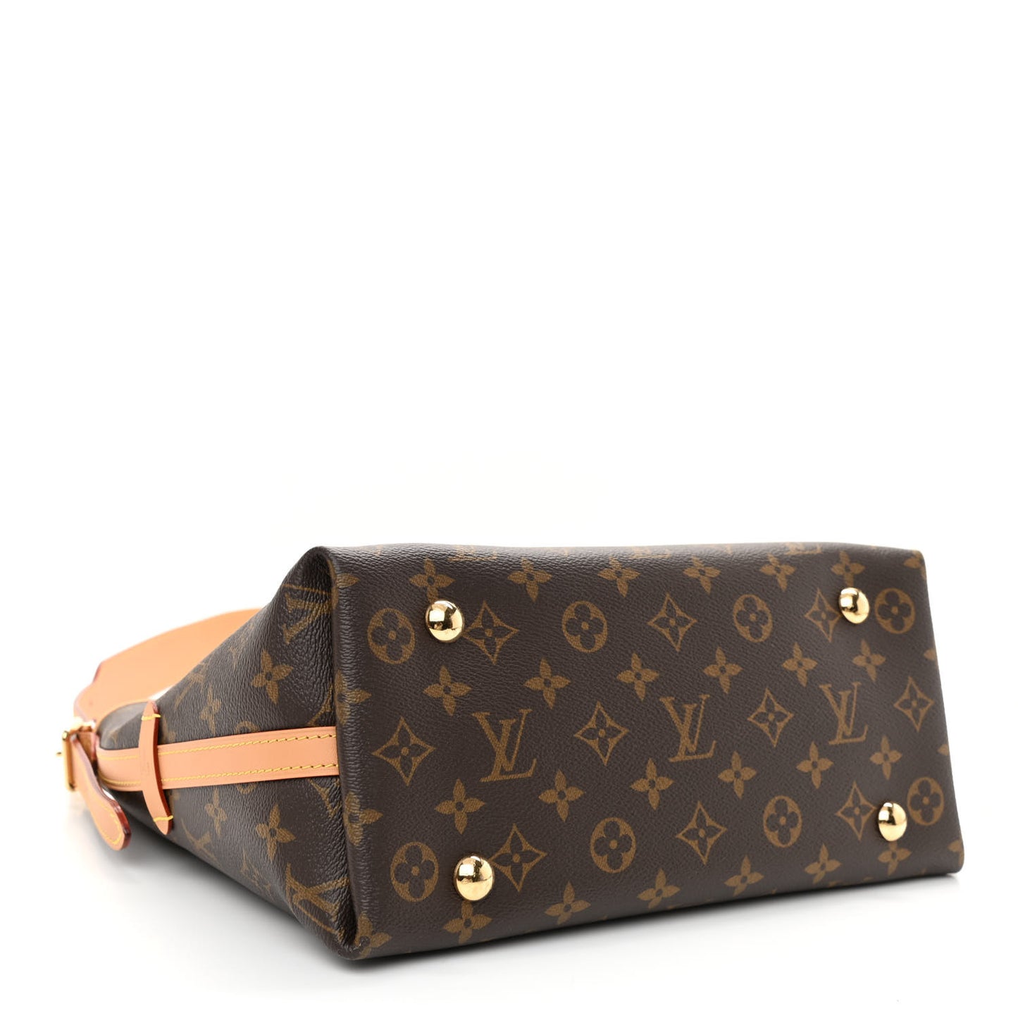 Monogram CarryAll PM