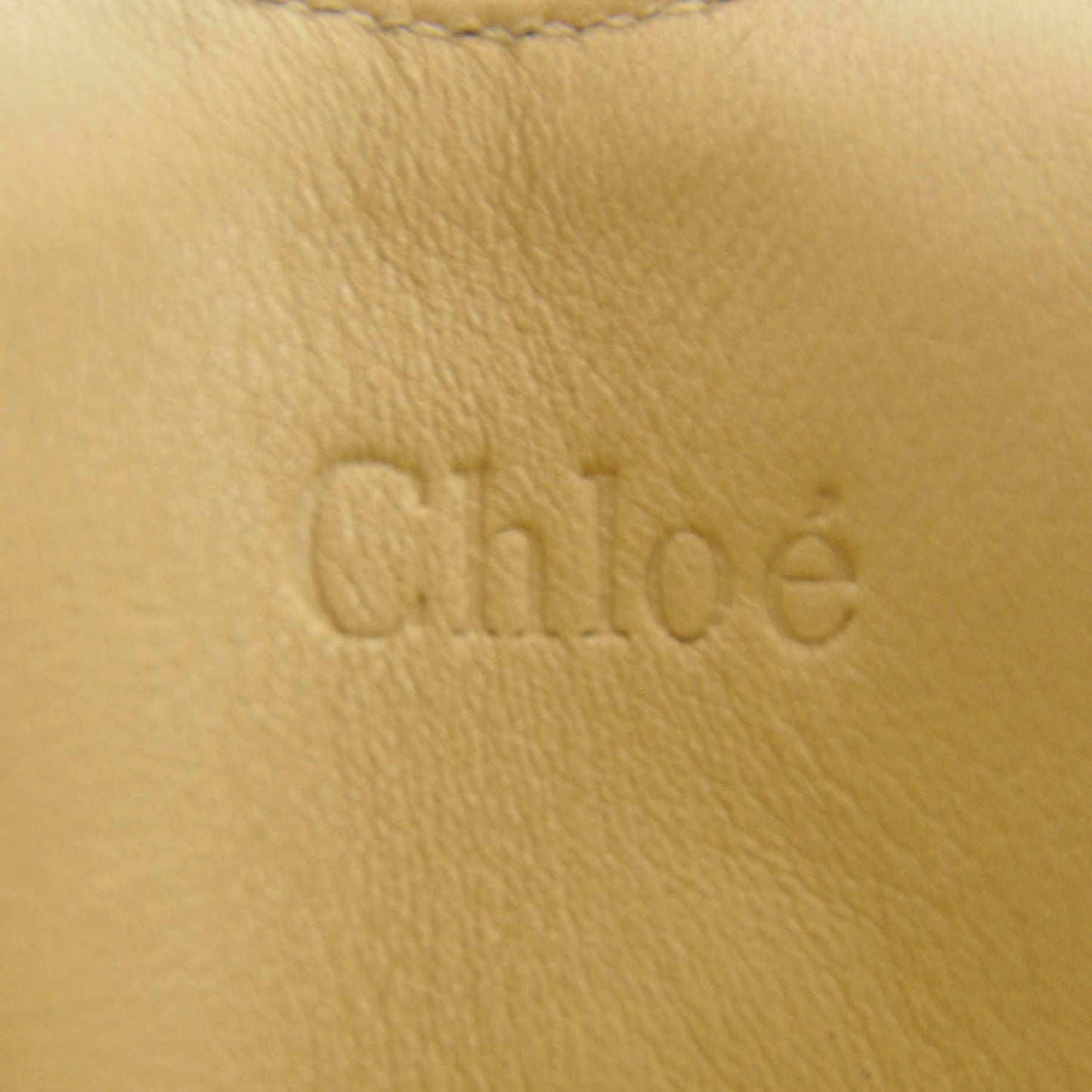 Metallic Python Silverado Shoulder Bag Gold