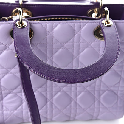 Christian Dior Lambskin Cannage Medium Tri-Color Lady Dior 14 of 17
