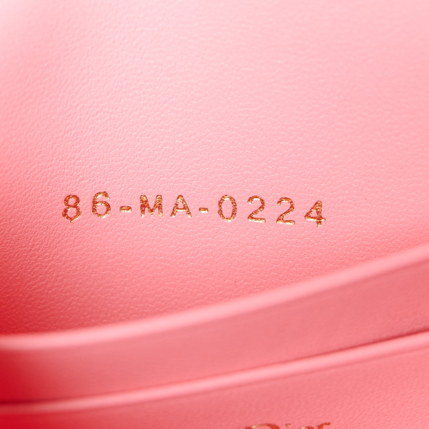 Lambskin Cannage Dior Talk Phone Pouch Pink