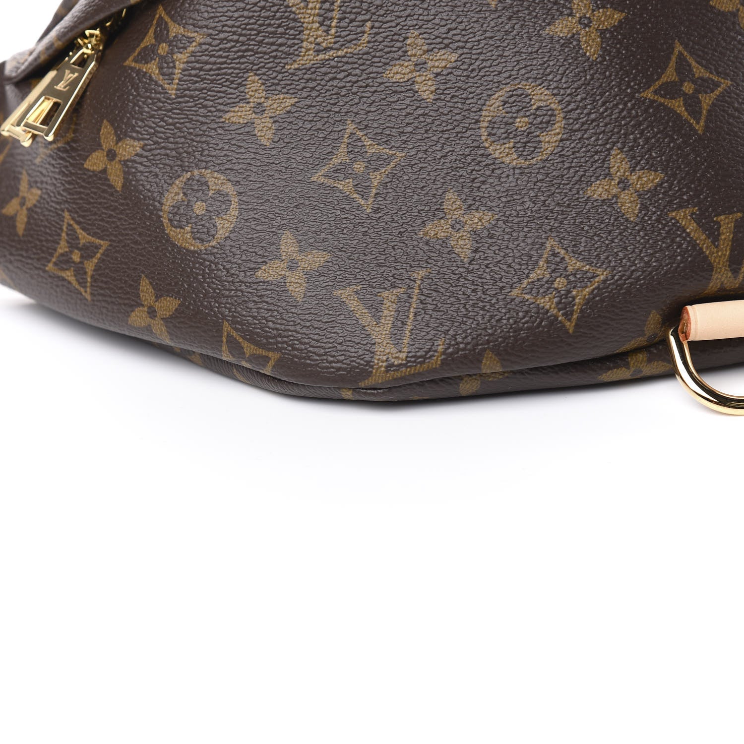 Louis Vuitton Monogram Bumbag 7 of 10
