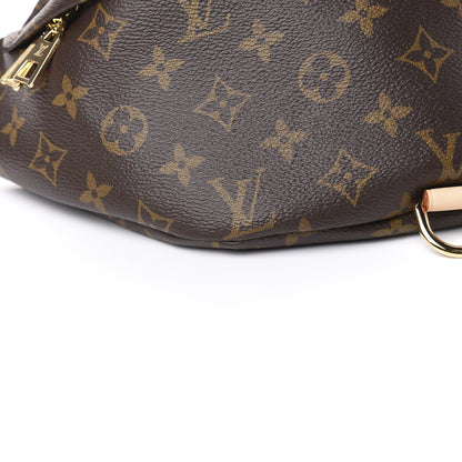 Louis Vuitton Monogram Bumbag 7 of 10