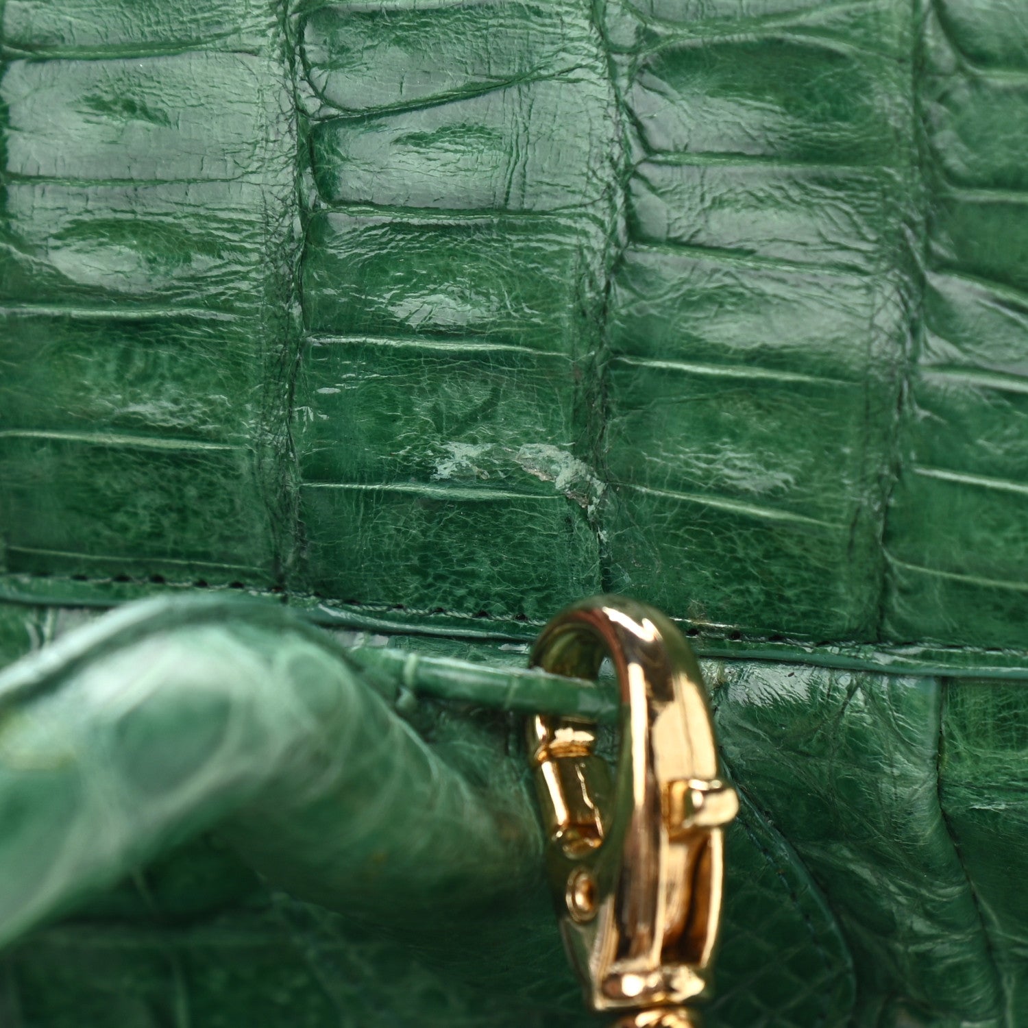Nancy Gonzalez Crocodile Leaf Tote Green 11 of 13