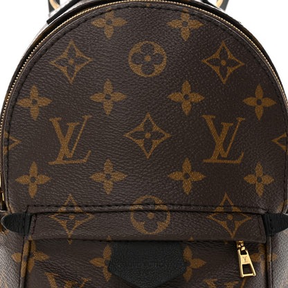 Louis Vuitton Monogram Palm Springs Backpack Mini 8 of 10