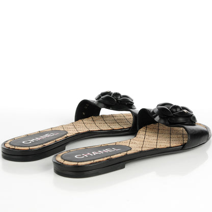 Chanel Lambskin Camellia Sandals 37 Black 4 of 9