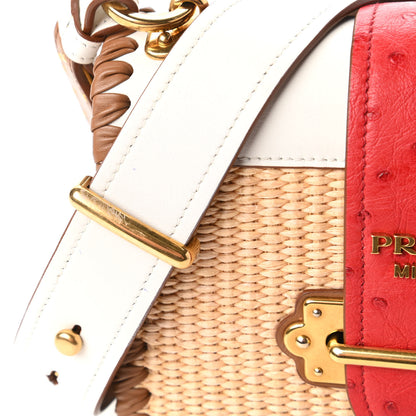 Prada City Calf Raffia Ostrich Cahier Bag Natural Roso 11 of 11