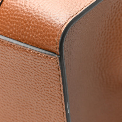 Mulberry Grain Vegetable Tanned Calfskin Small Zipped Bayswater Oak 11 of 11