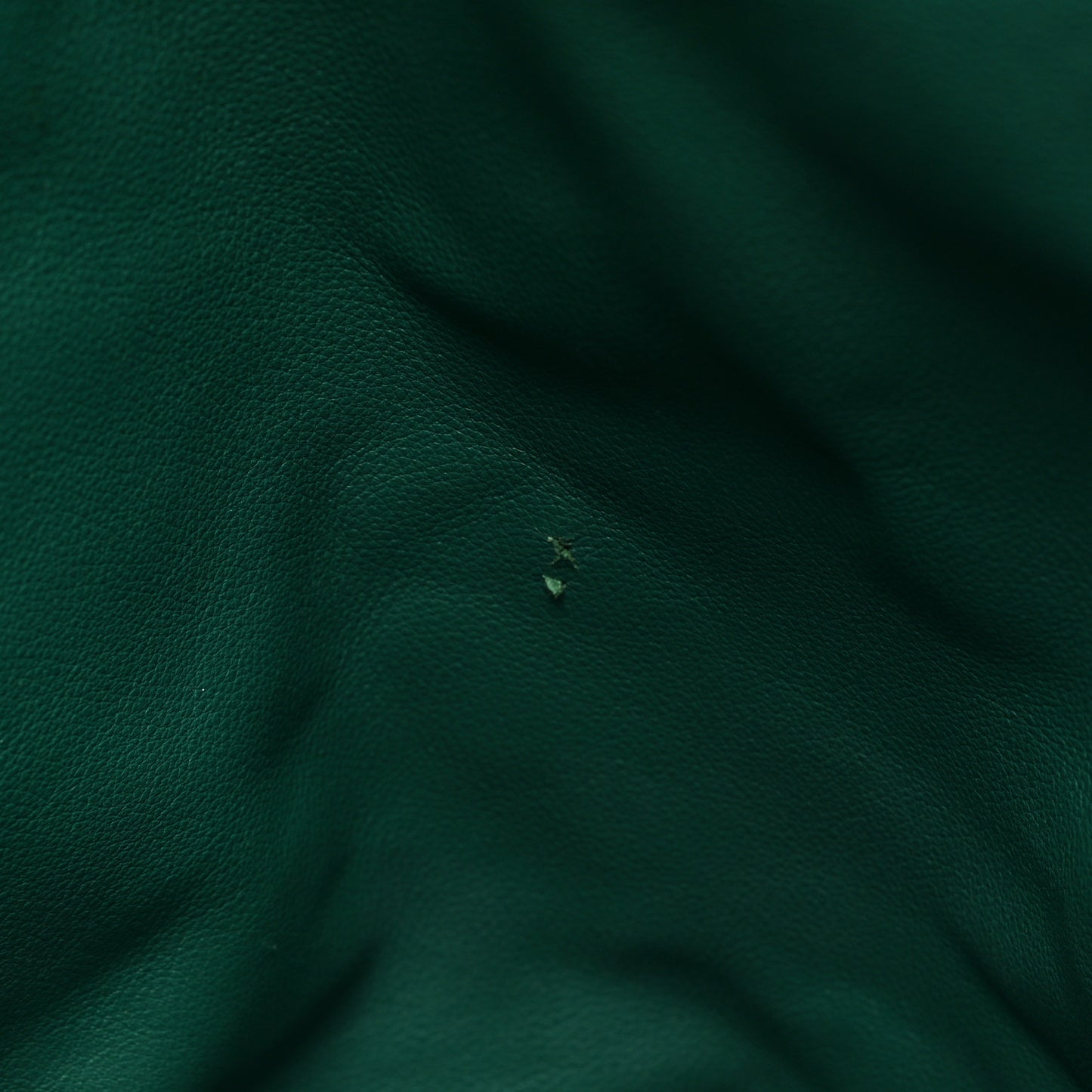 Goyardine Saint Louis GM Green