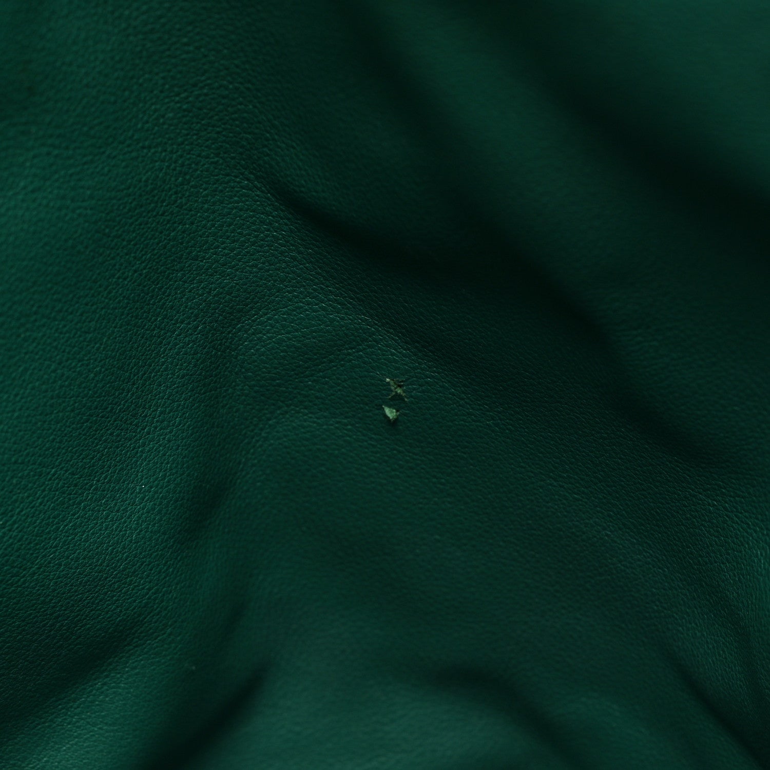 Goyard Goyardine Saint Louis GM Green 18 of 24