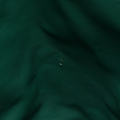 Goyard Goyardine Saint Louis GM Green 18 of 24