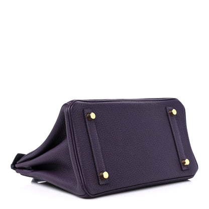 Hermes Togo Birkin 25 Raisin 4 of 10
