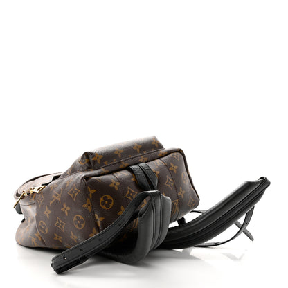 Louis Vuitton Monogram Palm Springs Backpack PM 4 of 8