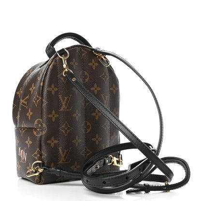 Louis Vuitton Monogram My World Tour Palm Springs Backpack Mini 5 of 18