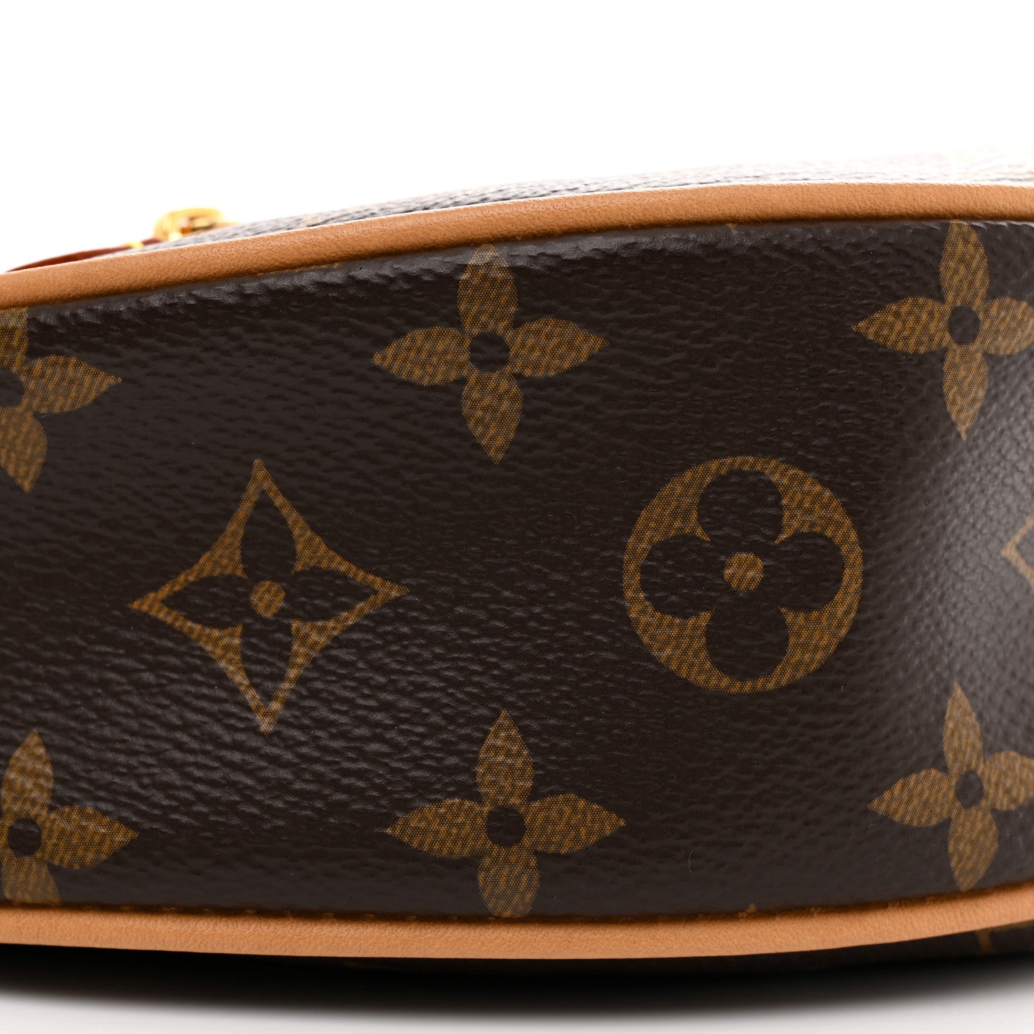 Louis Vuitton Monogram Loop 8 of 9
