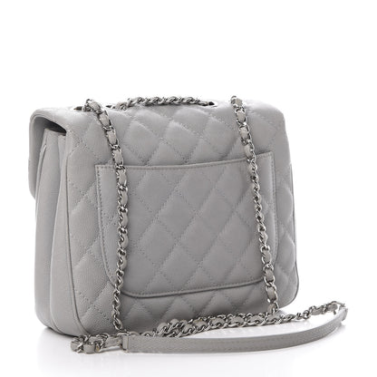 Chanel Caviar Quilted Medium Urban Companion Flap Grey 3 of 10